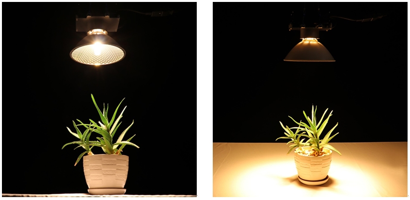 265VAC 100Hz Full Spectrum Grow Lights CMH 150W 100Hz Led Lighting