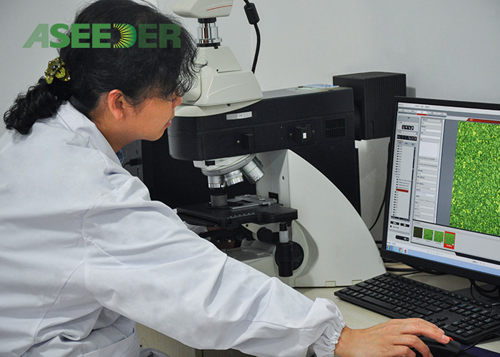 HIP Sintering Hard PDC Radial Bearing High Corrosion Resistance