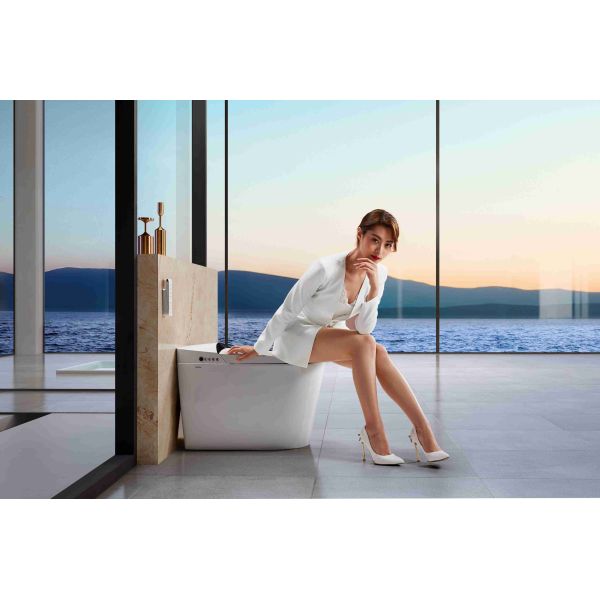 Arrow Brand Modern Smart Toilet with Concealed Tank Automatic Operation and Soft Close Bidet