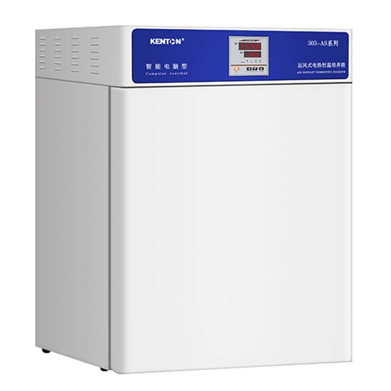 OEM Thermostatic Incubator 220V Bacteria Tissue Culture Incubator
