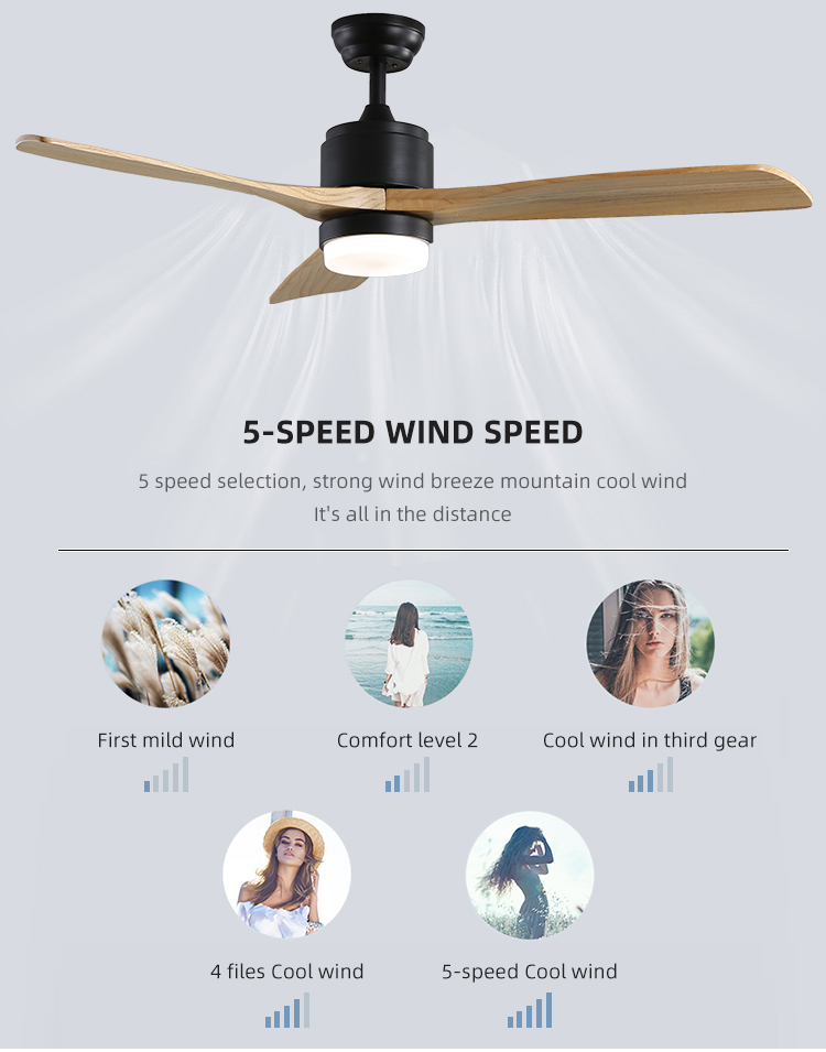 52Inch Time Setting Wood Ceiling Fan Light