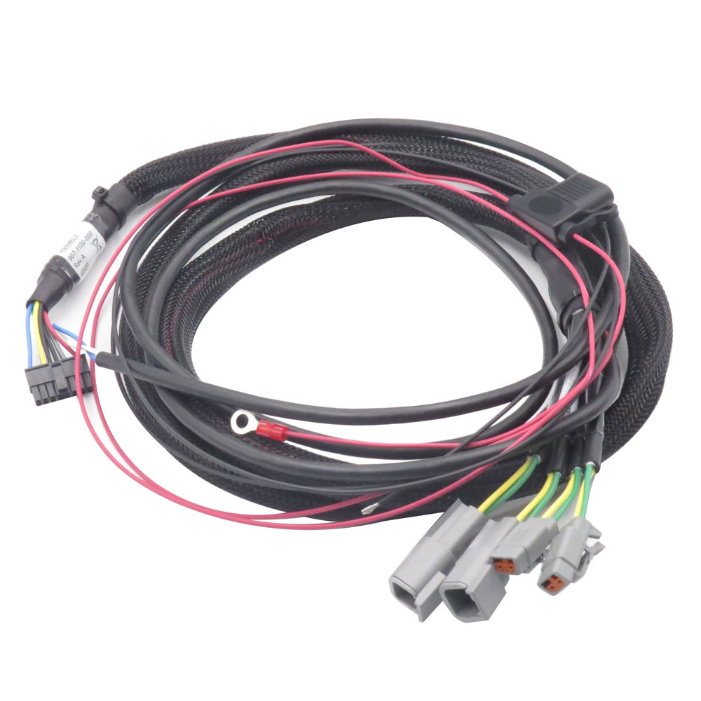PVC Jacket Custom Electronic Wiring Harness Cable Assembly Automotive Wire Harness