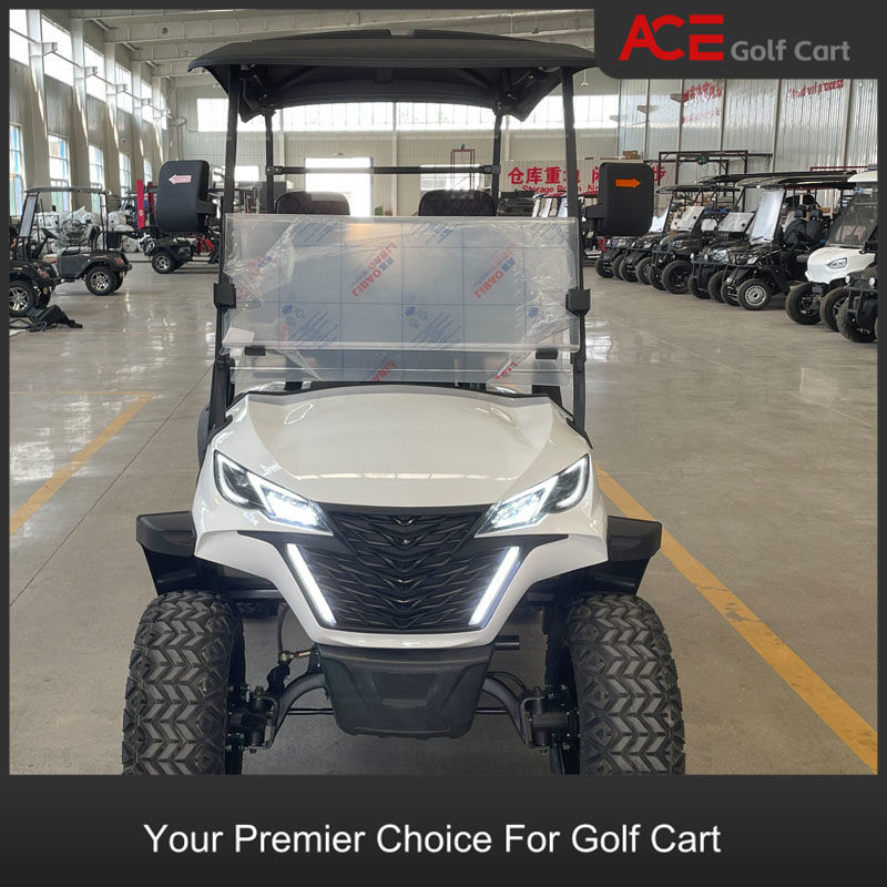 Custom Electric Mini Golf Buggy Top Speed 35km/H Golf Carts White Color