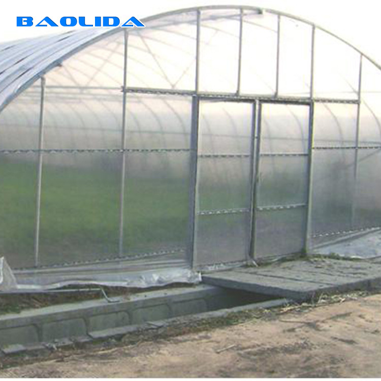 Plastic Tunnel Single Span Greenhouse Agricultural For Strawberry