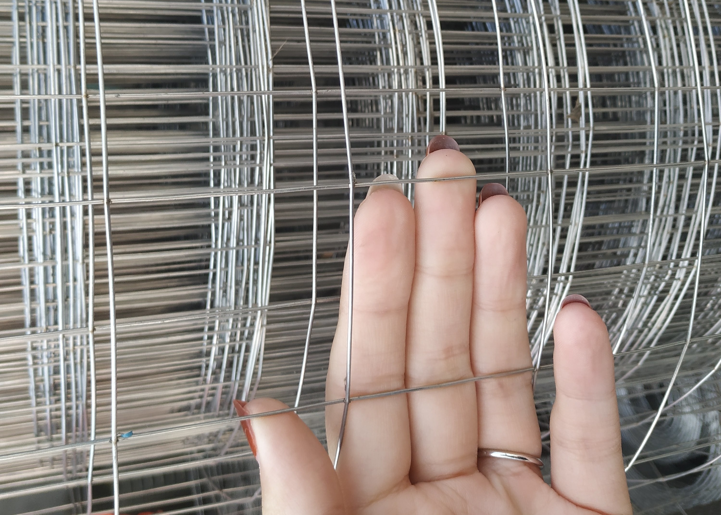 Livestock 1/2 Inch 304 316 Welded Steel Mesh Panels