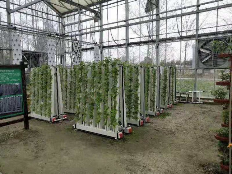 Skyplant Customized NFT Vertical Climate Control Hydroponic Growing Systems