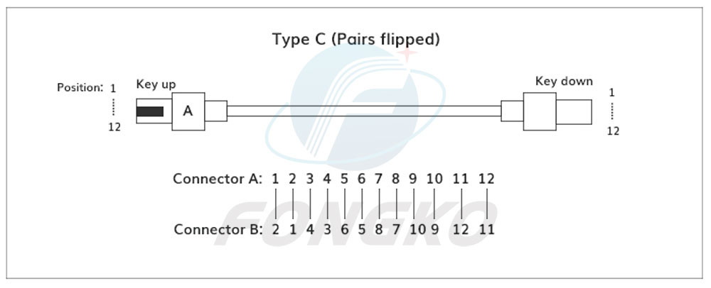 MTP MPO To SC UPC Fiber Optic Fanout Pigtail Patch Cord Single Mode 0.9mm