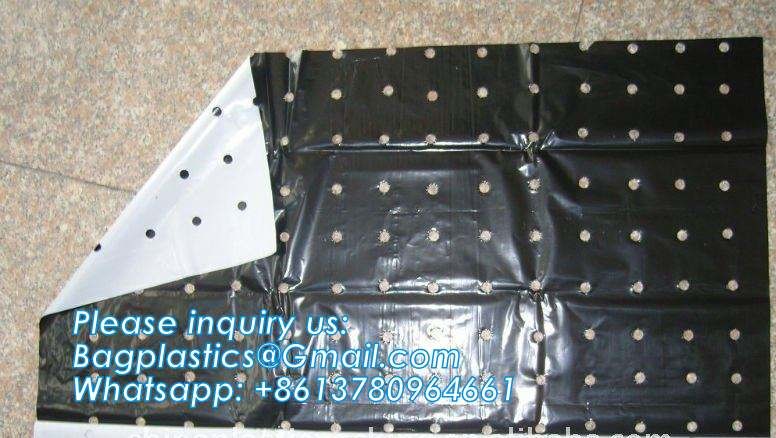 Pe Mulch Film With Holes For Agriculture Perforated Red Plastic Mulch For Peppers Crop Cover For Tomatoes