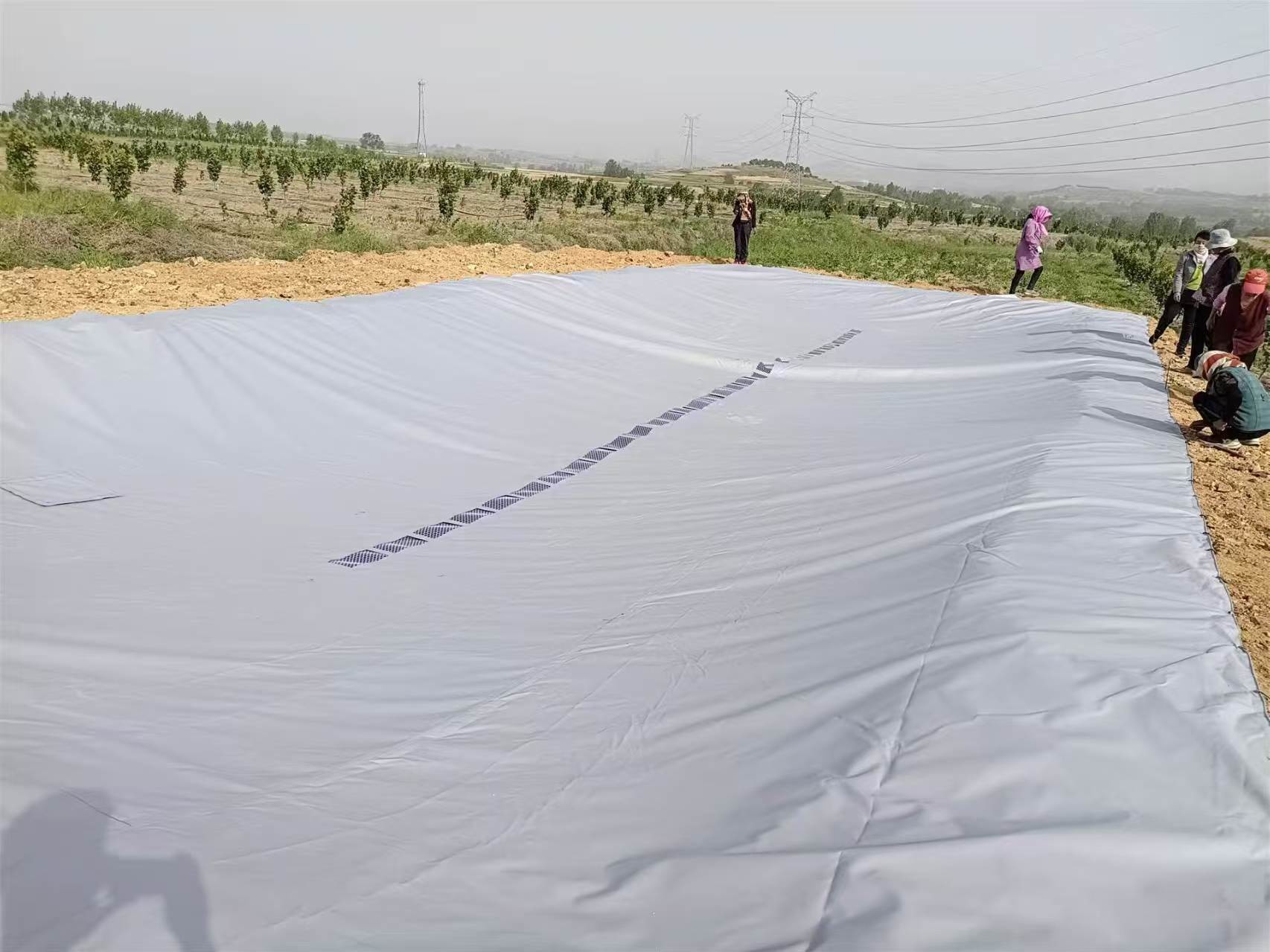 PVC Tarpaulin Foldable Agricultural Rainwater Collection Bladder