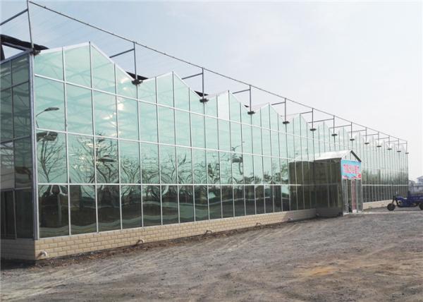 Modern Design Agricultural Glass Greenhouse 3m - 6m Side Height Long Service