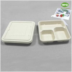 China Biodegradable Sugarcane Pulp 3-Coms Square Disposable Lunch Tray With Lid-100% Compostable Disposable Catering Trays on sale