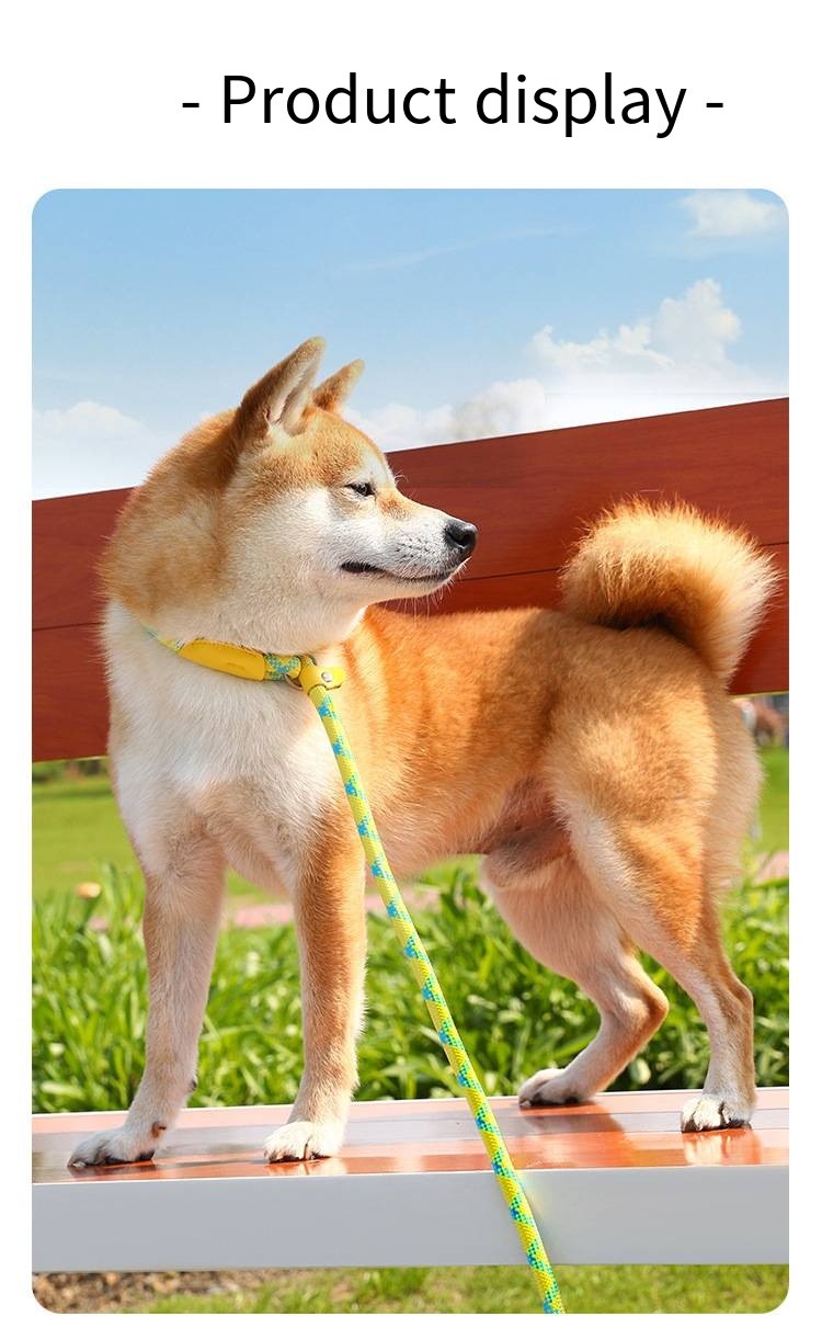 Pets Nylon Sturdy And durable Leash High Quality Traction Rope For Dog And Cat