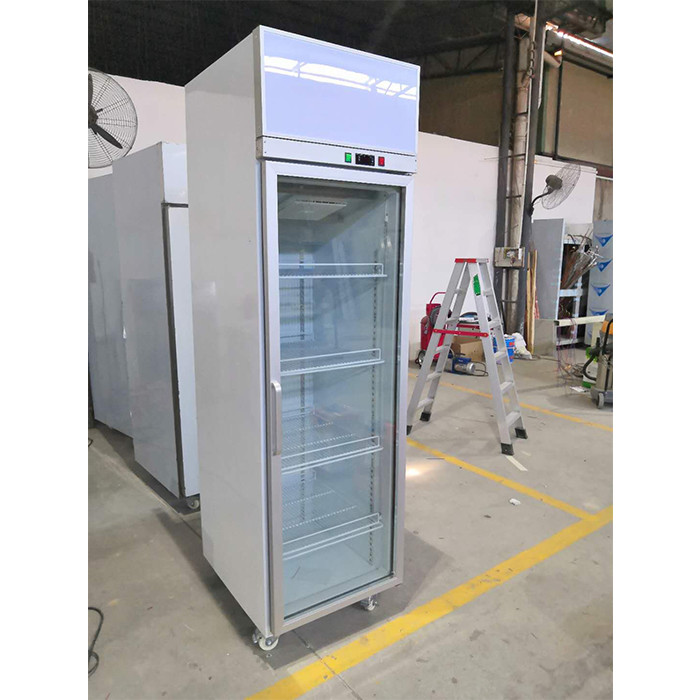 Aluminum Frame R134A 250W Convenience Store Display Cooler