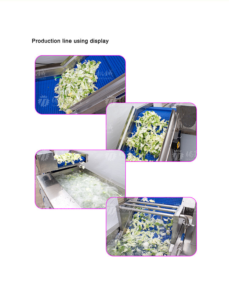 Supermarket Fruit And Vegetable Processing Line Cutting Lifting Washing