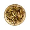 Buy cheap Dried Superworm/animal food/pet food ingredients from wholesalers