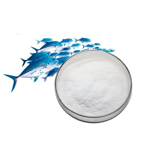 Odorless Beauty Products Protein And Collagen Powder With 24 Months Shelf Life And Protein Powder
