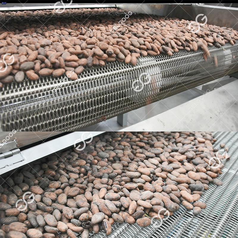 Mesh Belt Cocoa Bean Roasting Machine