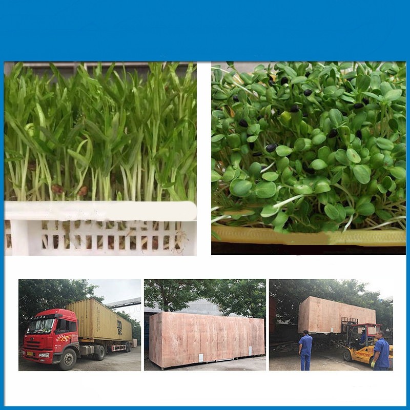 Seeds Growing Automatic Fodder Machine Save Energy Green Fodder Machine