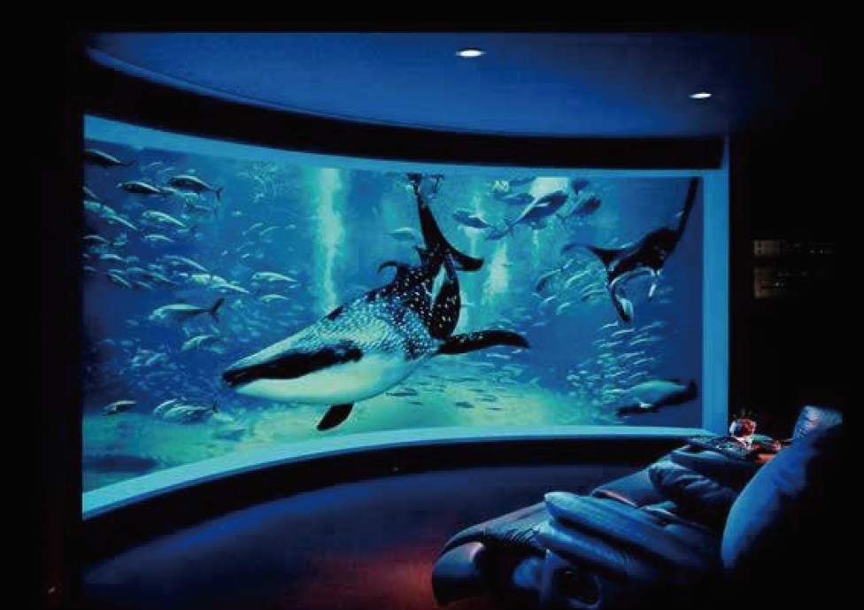 Customised TV Arc Frame Projection Screen Retractable Wall Mounted