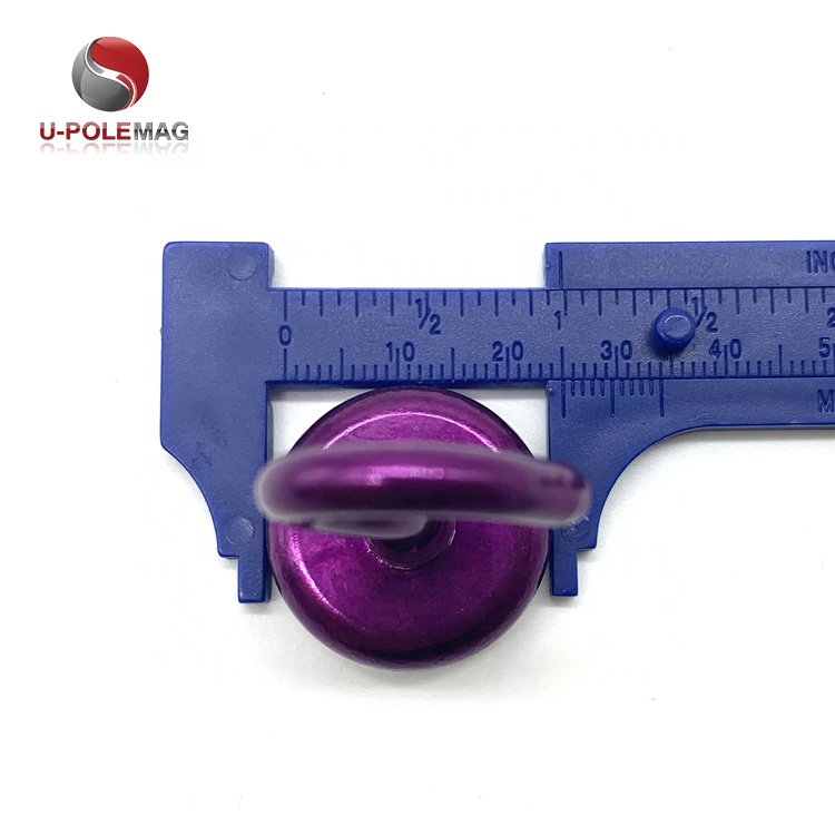 Neodymium Magnet Decorative Pot Magnet with Hook D10mm-75mm and Powerful Magnetic Hook