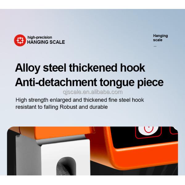 50g Accuracy Electronic Industrial Hanging Scale 300kg Digital Crane Scale with Customized OEM Support