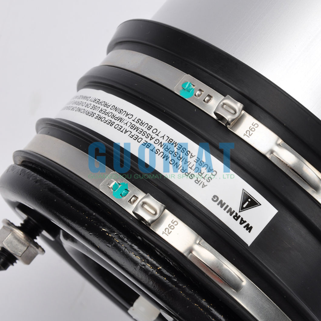Rear Left Right Air Suspension Spring A2203205013 for Mercedes Benz