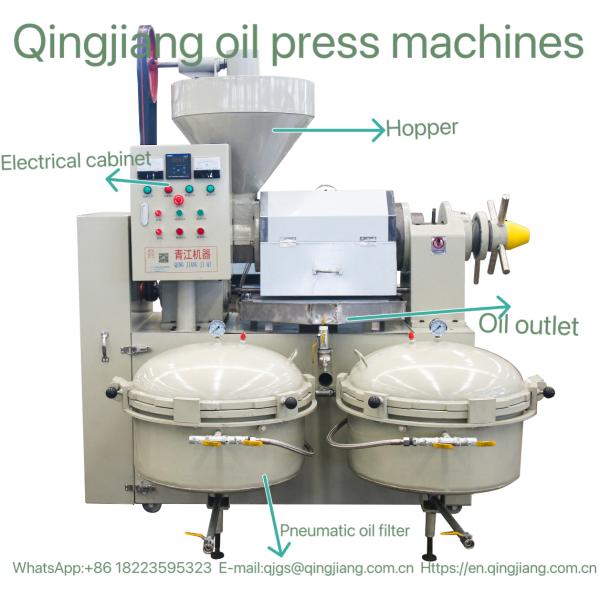 100kg/H Commerical Oil Expeller 10hp Automatic Screw Oil Press cold press mill