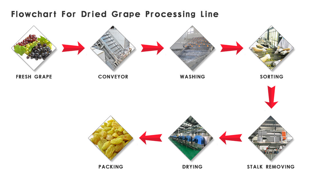 Durable Dried Fruit Processing Plant Dried Fruit Dehydrator Customized Voltage