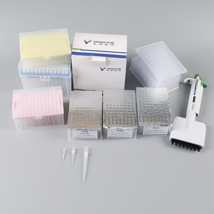 Lab Use Pre Filled Nucleic Acid Extraction Purification Detection Kits