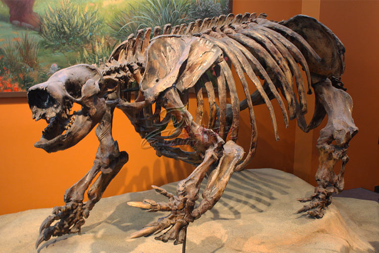 Realistic Complete Dinosaur Fossil , Simulation Full Dinosaur Skeleton
