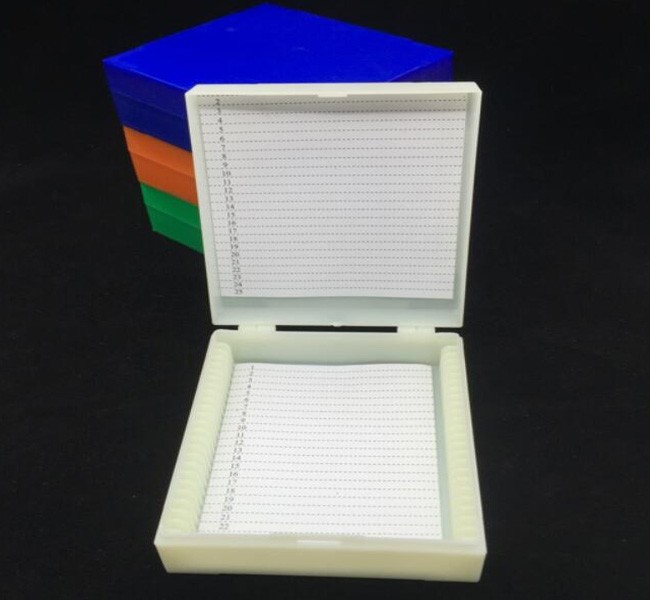 Basic Histology Histological Prepared Glass Slides Microscope Tissue Specimen 25pcs