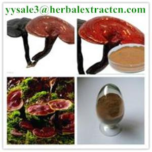 Buy cheap reishi mushroom series: Reishi slices, Reishi Mushroom Extract polysaccharide 20% triterpenoids1% , Manufacture product