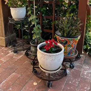 Sturdy Rolling Plant Stand Heavy-Duty Wrought Iron Plant Dolly for Floor Boughpot