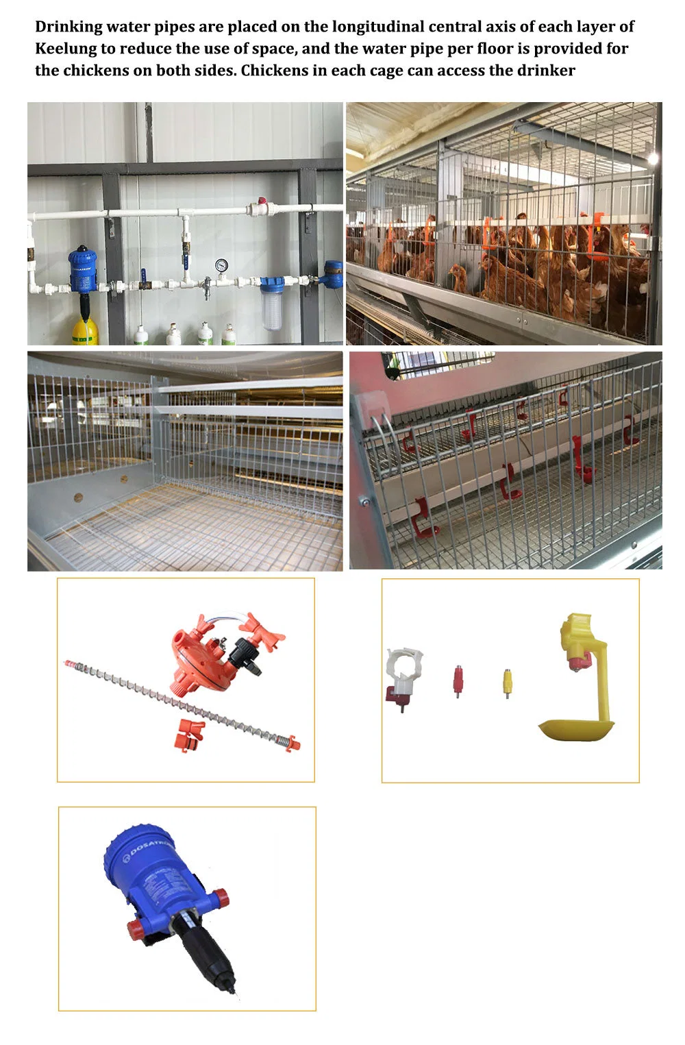 Layer Egg Chicken Cage/Poultry Farm House Design Egg Chicken House Design for Layers Metal Chicken House