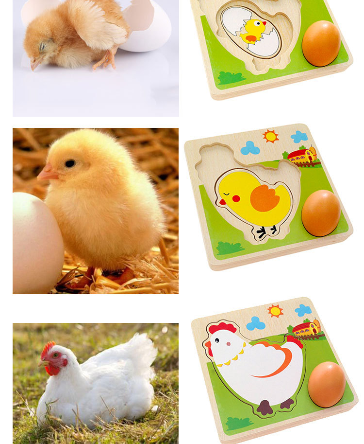 3D Chicken Growth Process Wooden Multi Layer Puzzle
