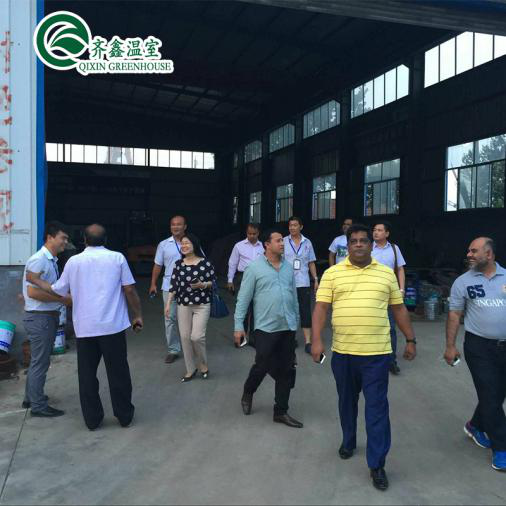 Double Layer PO Greenhouse Tunnel for Precise Temperature Control