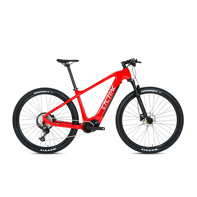 Remote Control Electric Bike M510 Mid Drive And 48V 13Ah Lithium Battery