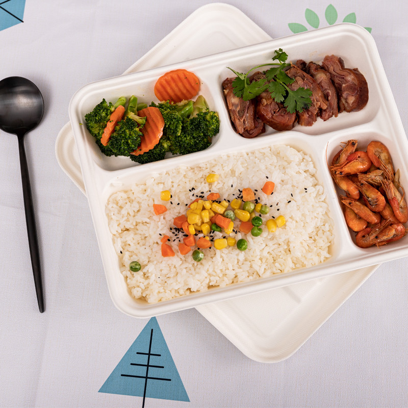 Takeaway Biodegradable Clamshell Boxes , Divided Disposable Bento Box With Lid