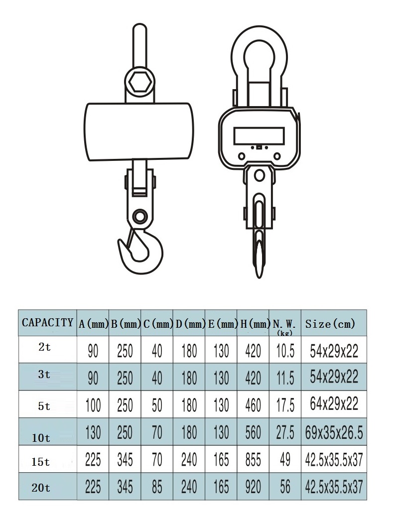 CRANE SCALE