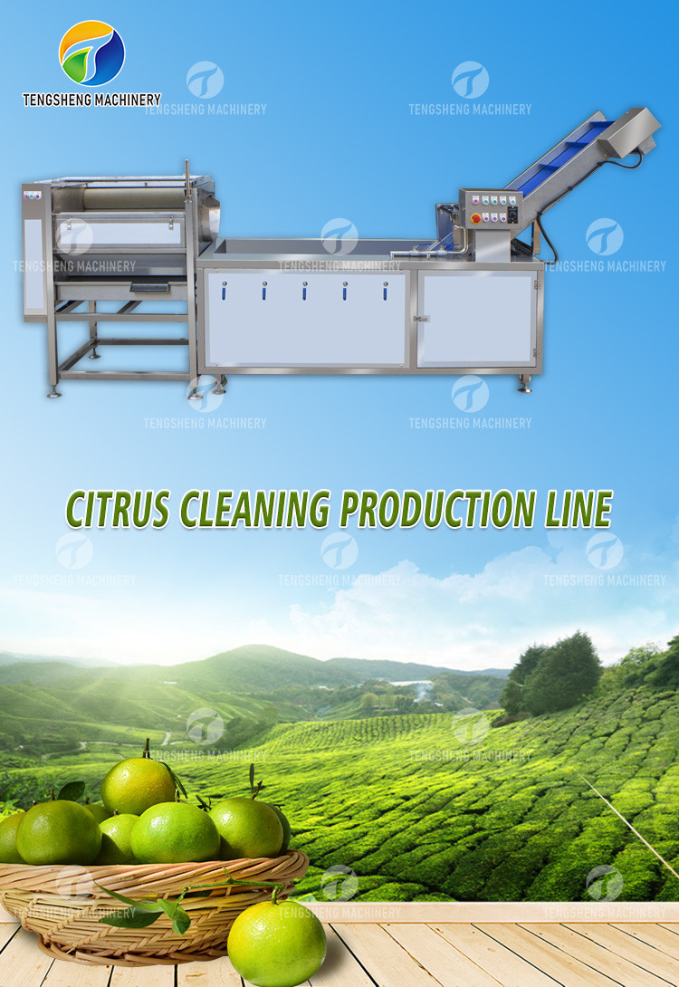 Air Brush Cleansing Citrus Processing Line , Anti Abrasion Sullage Removal Potato Processing Line