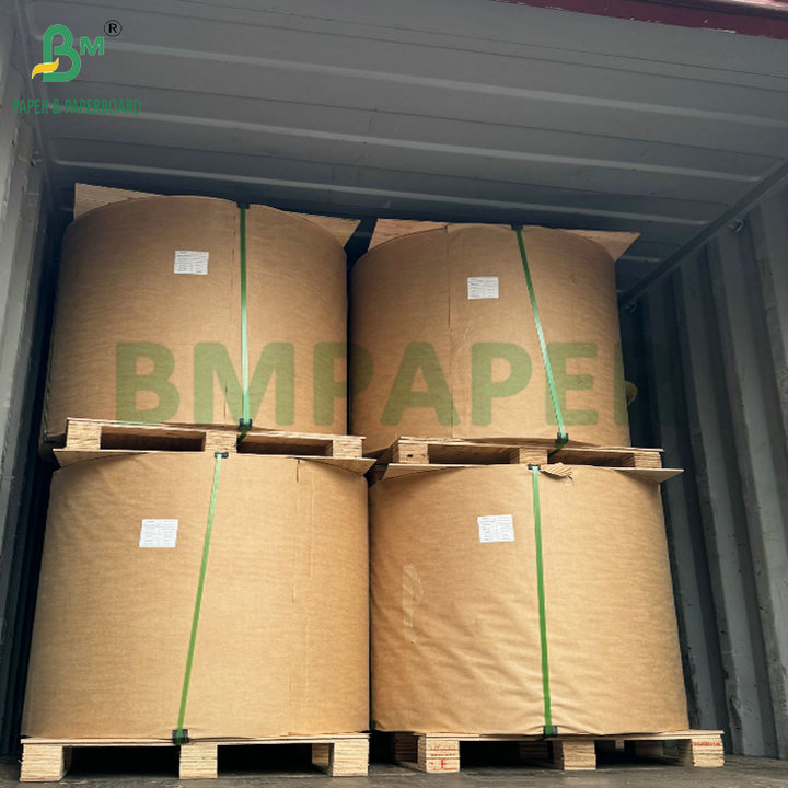 15g PE Coated Waterproof 210gsm 230gsm Cup Stock Paper High Folding