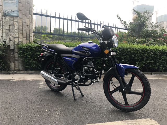 Turkey popular high quality alpha 110cc model for hot sale