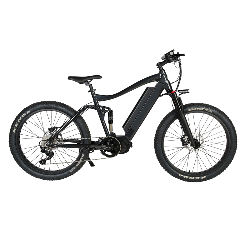 High Speed and Short Charging Time 2024 Customized Mid Drive Electric Mountain Bike