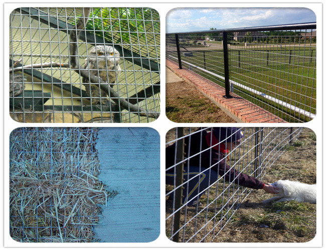 2x2inch Stainless Steel Welded Wire Mesh Rust Resistant