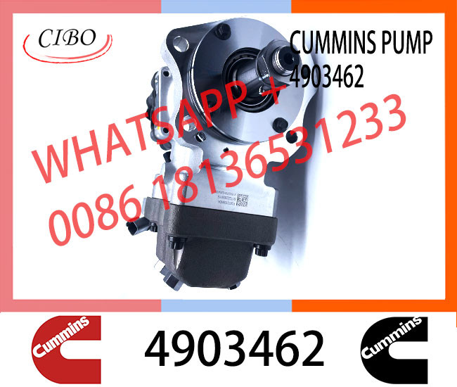 cummins Diesel Engine parts Cmmins QSL8.9 Fuel Pump 3973228 4954200 4921431 4903462