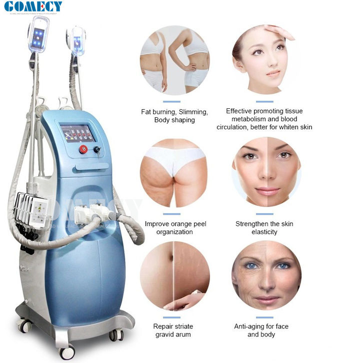 800W 3 Handles Cryolipolysis Body Slimming Machine