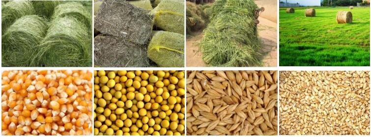 Small Complete Animal Feed Pellet Machine Production Line High Quality