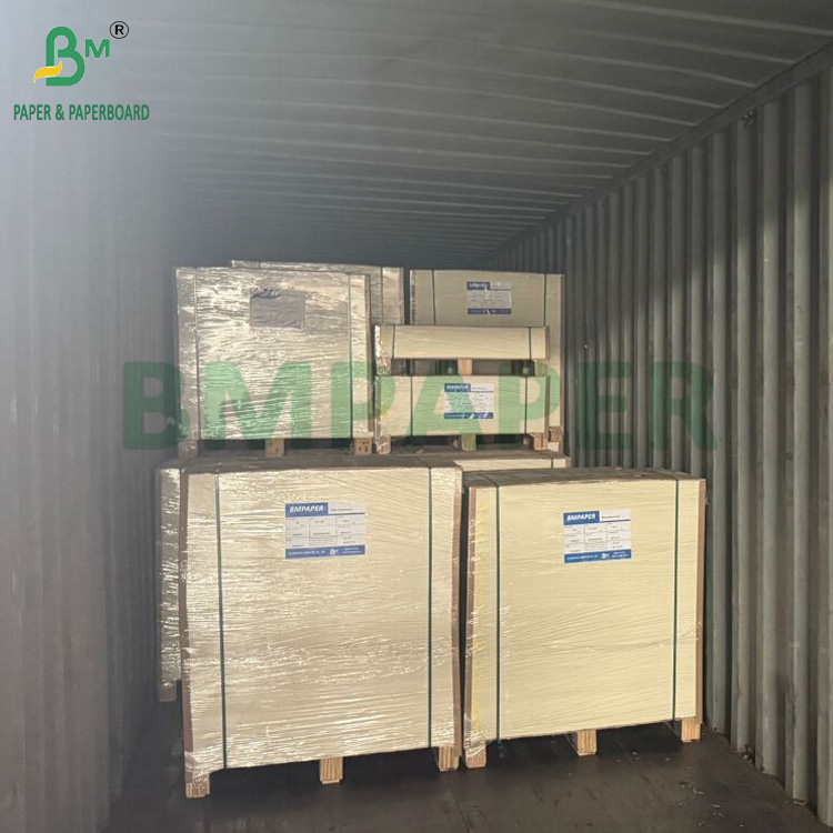 Waterproof PET Laminated 300gsm White Cardboard For Lunch Box Recyclable