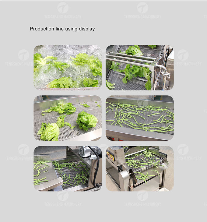 4.5KW Fruit And Vegetable Processing Line Vibration Draining Equipment