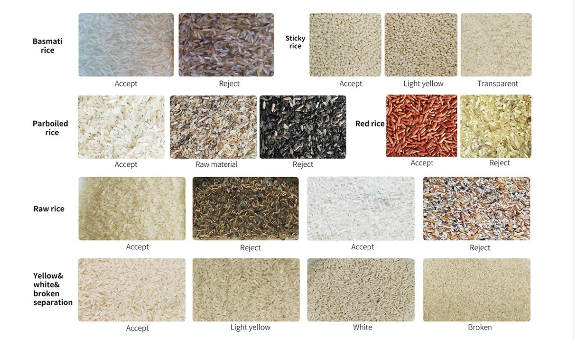 High Yield 220V/50Hz Mini Color Sorter Machine For Cashew Nut Processing